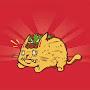 @tacocatagain2500