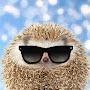 @Pablo_the_hedgehog