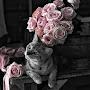 @Nour.lunaaaa