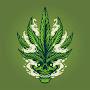 @JoseLopez-tl3yt