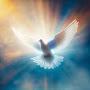 @ACCOMPANY-JESUS