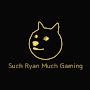 @SuchRyanmuchgaming