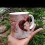 @syedimran6739
