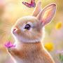 @yousafjhandeer1