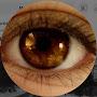 @EYE_GOTCHA