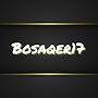 @bosaqer1755