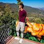 @PraveenSingh-qq1bi
