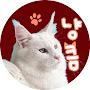 @meowoof-tv