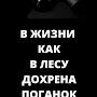 @Жизнь-д5й6м