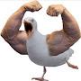@theillegalseagull6838