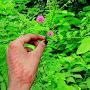 @Srishthi-ts9zi