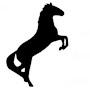 @NSBlack_Stallion