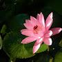 @khuongnguyen4375