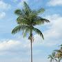 @mattrivierabeach1089