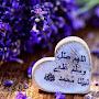 @هدىالجندي-ي8غ