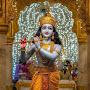 @vivanchoudhary1662