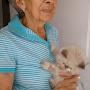 @clarainescanasrestrepo8150