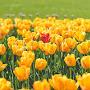 @nehachoudhary1121