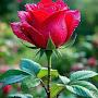 @rajikannan9642