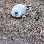 @FannyCats-ls4rl