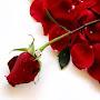 @sweety2727