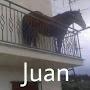 @Elcaballitojuan