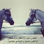 @فاس-ب8ش