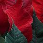 @lindakrawiec6724