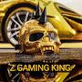@zgamingking4099