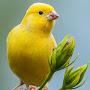 @alvinzeer55