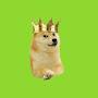 @DOGE_KING117