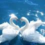 @emilwallin1176