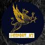 @esport_kz