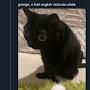 @TheBugUderUrBed
