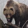 @sergeyslovtsov1109