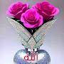 @meraindia2754