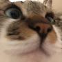 @user-fl3gn6xo8p