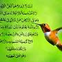 @mohamedbilal950