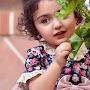 @منارالموسوي-ص2ش