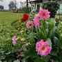 @jyoshnareddy1828