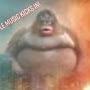 @StupidMonkey930