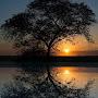 @johnharding6526