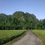 @taufiqidr