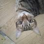 @test124test2