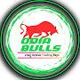 @odiabullls