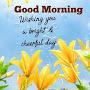@Rohitsharma61626
