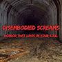 @DisembodiedScreams