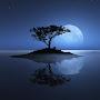 @soundofsilence5929