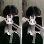 @nguyentrangjwjnw