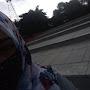 @tahmeemzehra5213